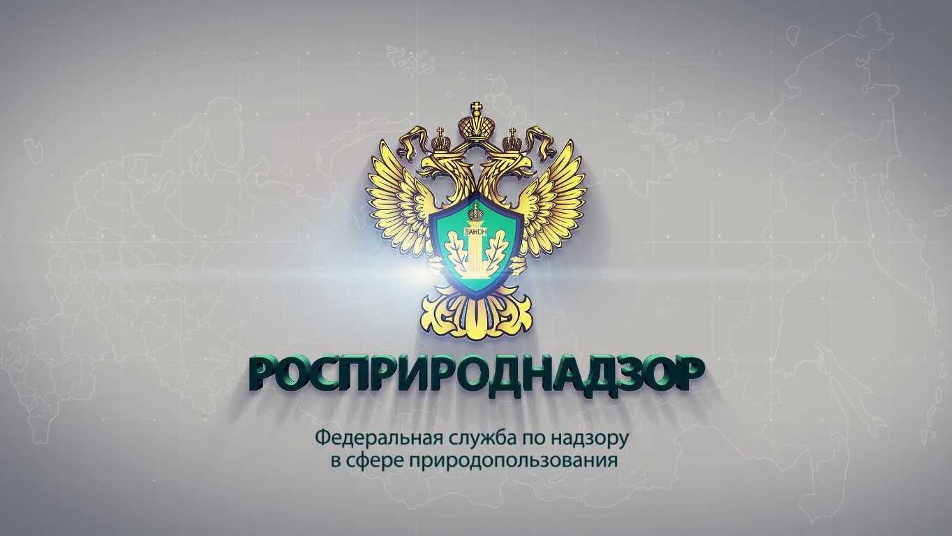 Росприроднадзор РФ проведет масштабную проверку 133 недропользователей Росприроднадзор РФ проведет масштабную проверку 133 недропользователей