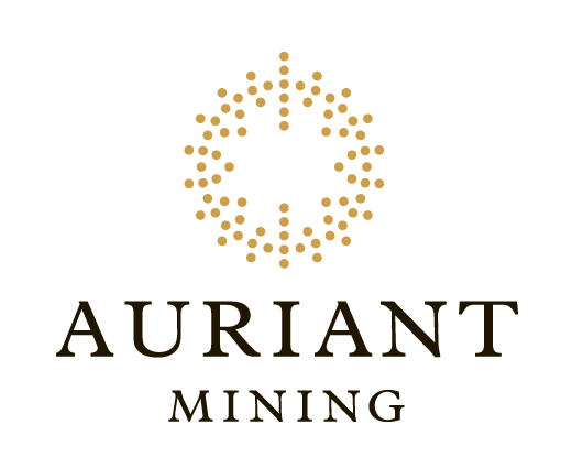 Роснедра обязал предприятия Auriant выйти на проектный уровень добычи Auriant Mining